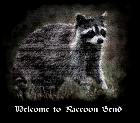 RaccoonBend.com